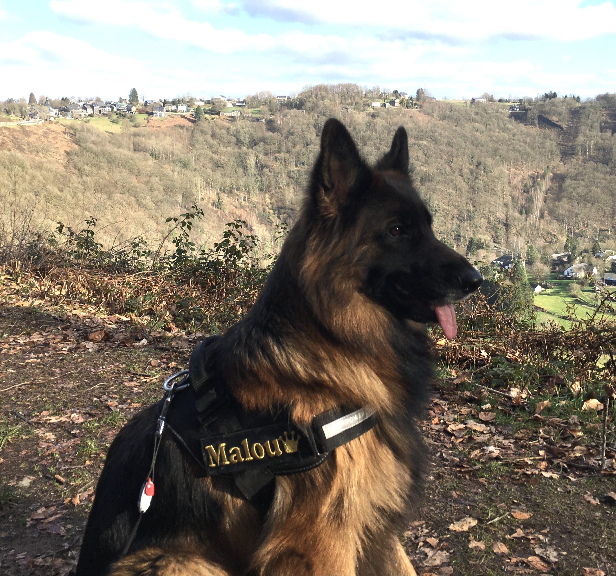 Malou 4